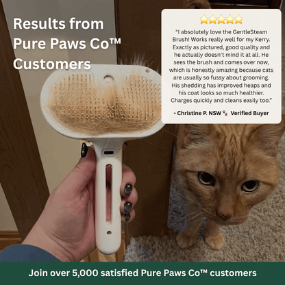 PurePawsCo™ GentleSteam Brush