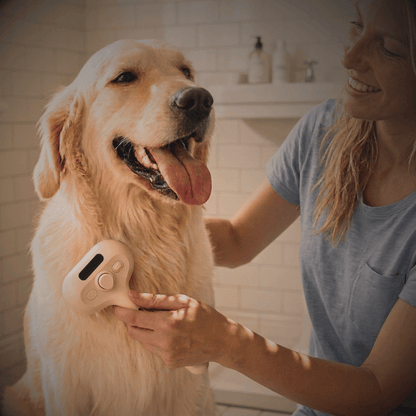 PurePawsCo™ GentleSteam Brush