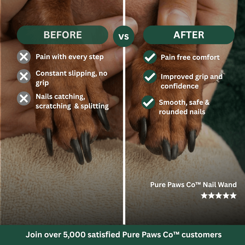 PurePawsCo™ Nail Wand