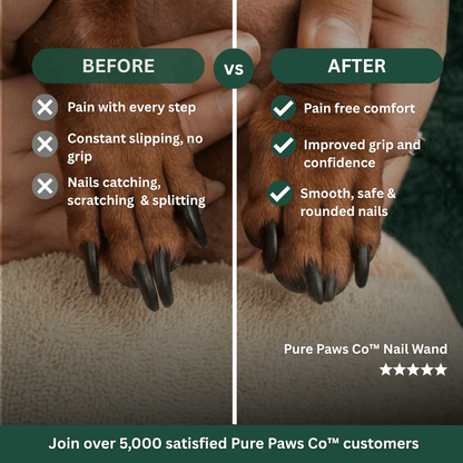 PurePawsCo™ Nail Wand