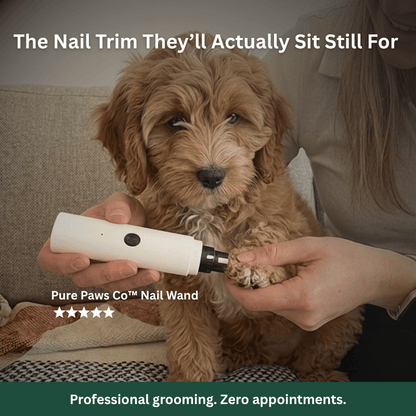PurePawsCo™ Nail Wand