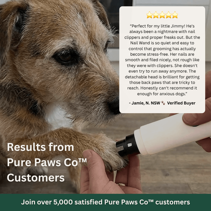 PurePawsCo™ Nail Wand
