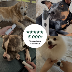 PurePawsCo™ Nail Wand