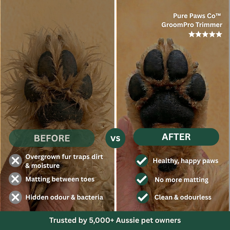 PurePawsCo™ GroomPro Trimmer